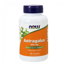 ASTRAGALUS 100 CAPS 500 MG NOW
