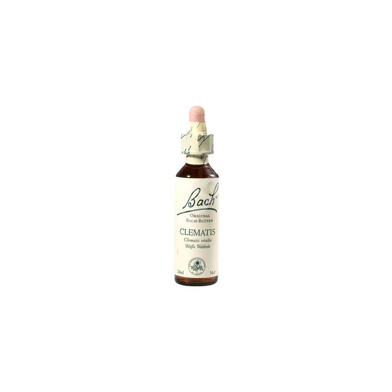 CLEMATIS  20 ML  FLORAL DE BACH FLORAIS 