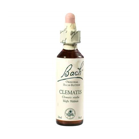 CLEMATIS  20 ML  FLORAL DE BACH FLORAIS 