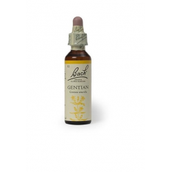Florais de Bach Gentian 20 ml