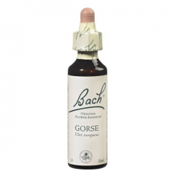 FLORAL DE BACH GORSE 20 ML