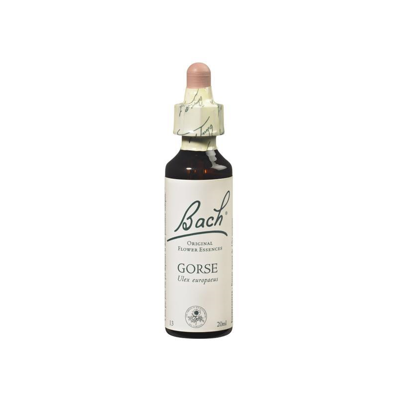 FLORAL DE BACH GORSE 20 ML