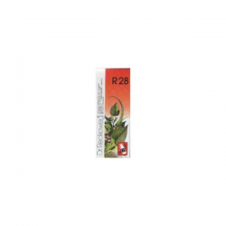 R28 MENSTRUAÇÃO ABUNDANTE, CIRCULAÇÃO PERIFÉRICA  50ML  DR. RECKEWEG