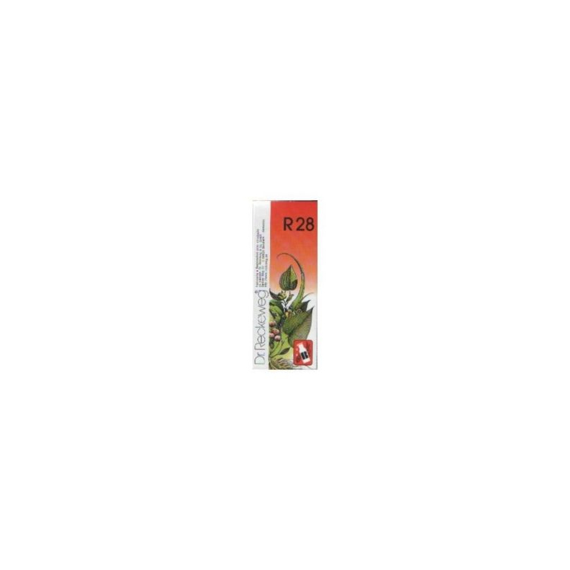 R28 MENSTRUAÇÃO ABUNDANTE, CIRCULAÇÃO PERIFÉRICA  50ML  DR. RECKEWEG