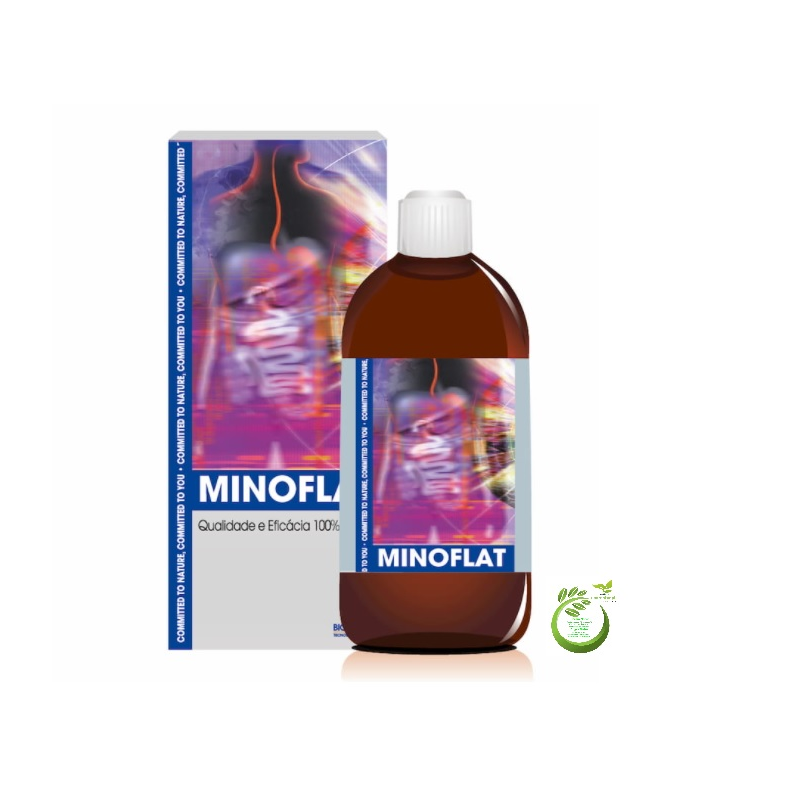MINOFLAT 250 ML XAROPE