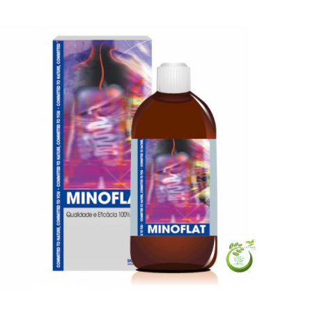 MINOFLAT 250 ML XAROPE