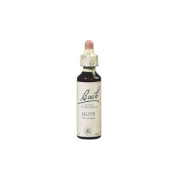 OLIVE  20 ML  FLORAL DE BACH FLORAIS