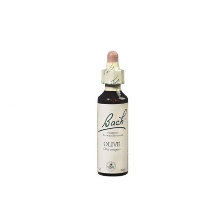 OLIVE  20 ML  FLORAL DE BACH FLORAIS