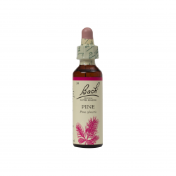 PINE  20 ML  FLORAL DE BACH FLORAIS