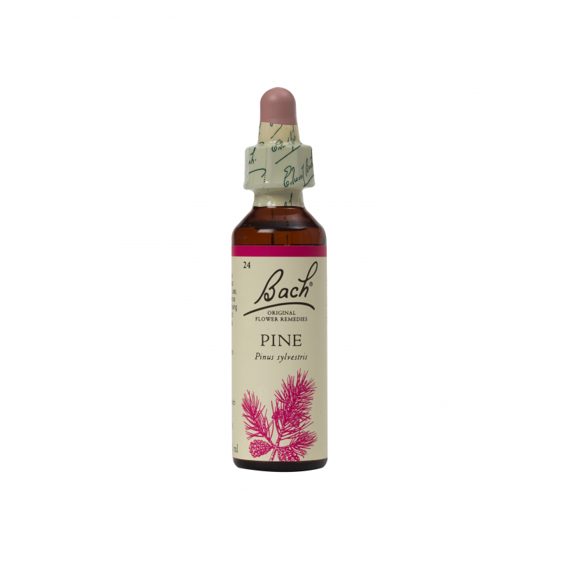 PINE  20 ML  FLORAL DE BACH FLORAIS