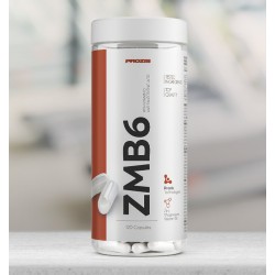 ZMB6 ZINCO MAIS MAGNESIO MAIS B6 120 CAPS PROZIS 