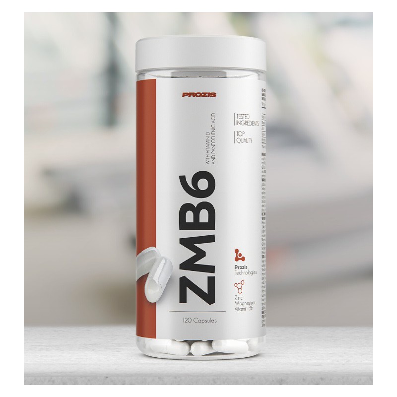 ZMB6 ZINCO MAIS MAGNESIO MAIS B6 120 CAPS PROZIS 