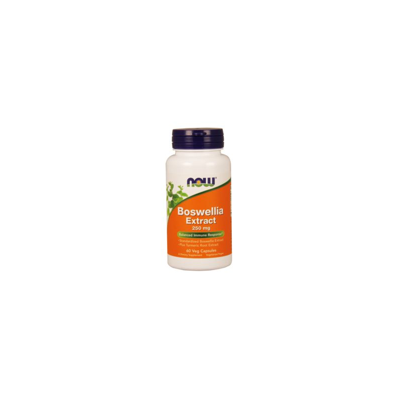BOSWELLIA EXTRACT 250 MG 60 CAPS NOW