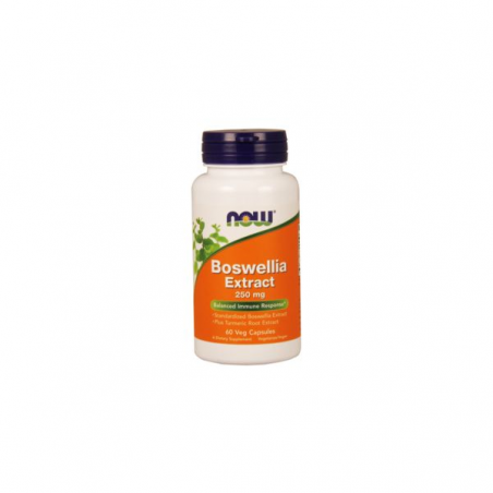 BOSWELLIA EXTRACT 250 MG 60 CAPS NOW