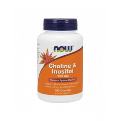 Choline e Inositol 500mg 100 caps Now Foods