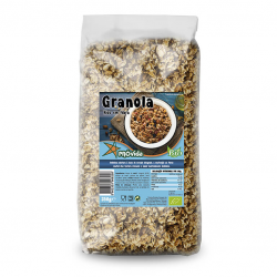 GRANOLA BIO 350 GRS PROVIDA
