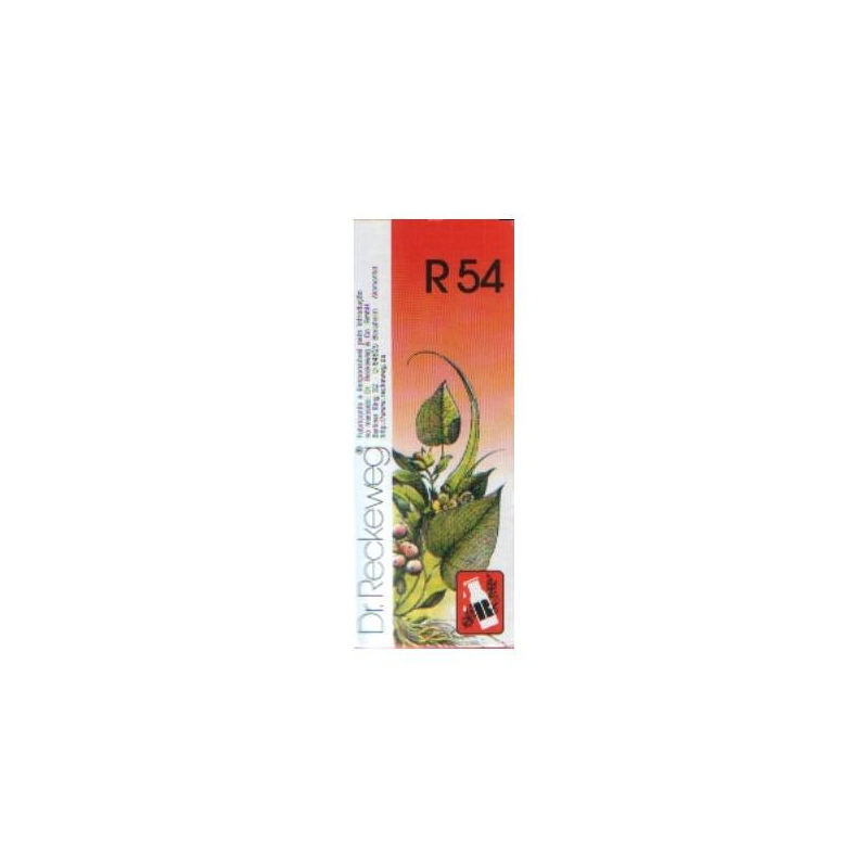 R54 GOTAS ORAIS DR. RECKEWEG