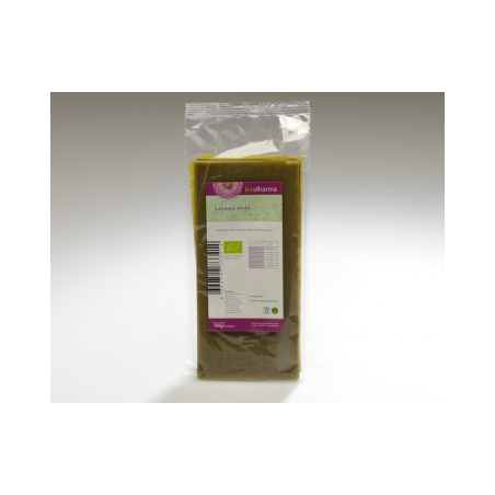 LASANHA VERDE BIO 160 GR BIODHARMA