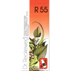R55 50 ml  Traumatismos  Fracturas  Tendinite  Joanete