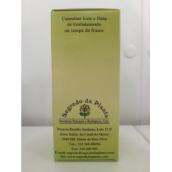 TEA TREE OIL 10 ML AROMATERAPIA OLEO ARVORE DO CHA