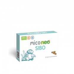 MICO NEO SIBO 60 CAPS