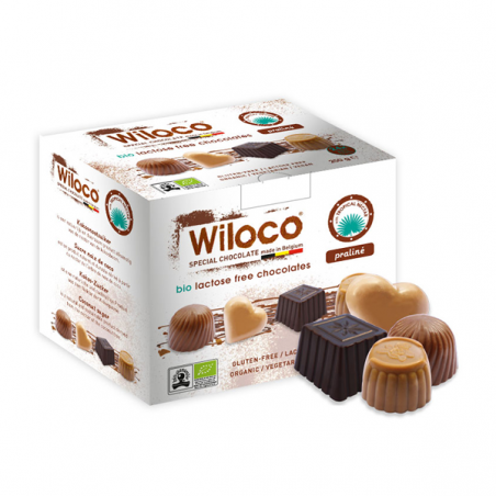 Sortido de Chocolates Pralinés BIO 250g