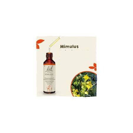 MIMULUS 20 ML FLORAL BACH