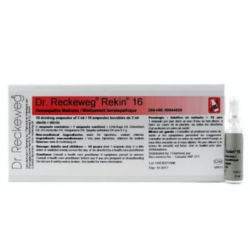 REKIN 16 AMPOLAS 10 X 2 ML DIETMED
