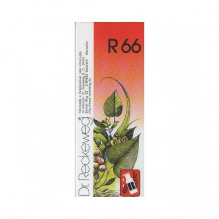 R 66 GOTAS 50 ML
