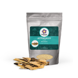 ASTRAGALUS EM PO BIO 250g