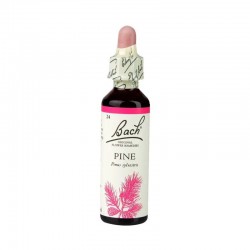 FLORAL DE BACH PINE 20 ML