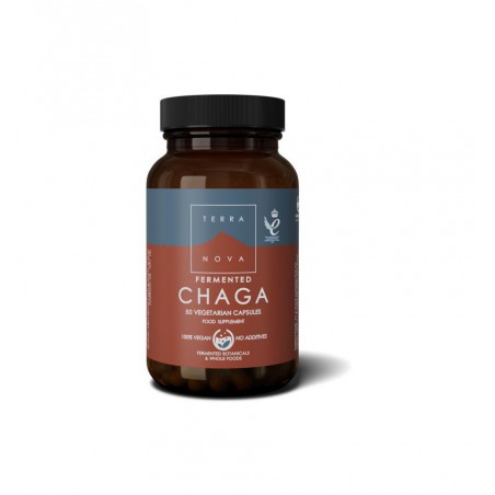 CHAGA FERMENTED 50 CAPS TERRA NOVA