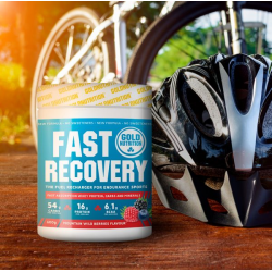FAST RECOVERY WILD BERRIES 600 G FRUTOS SILVESTRES  GOLD NUTRITION