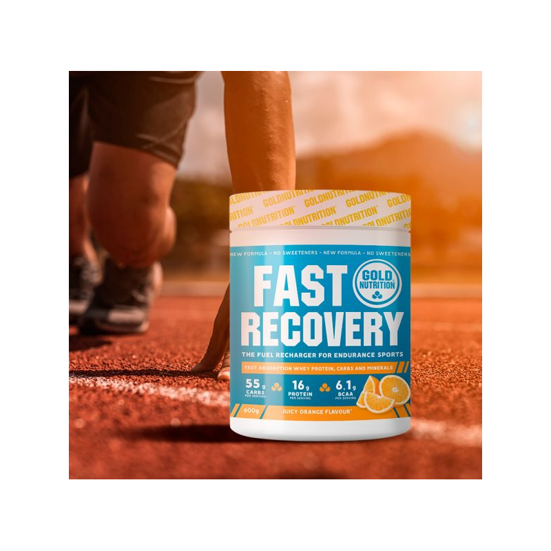 FAST RECOVERY ORANGE 600 G LARANJA  GOLD NUTRITION