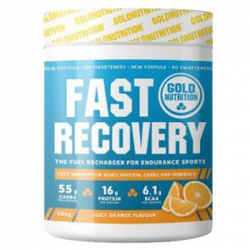 FAST RECOVERY ORANGE 600 G LARANJA  GOLD NUTRITION