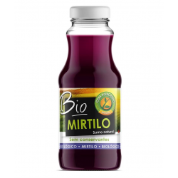 SUMO NATURAL MIRTILO BIO 200 ML CEM PORCENTO