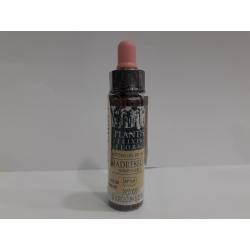 HONEYSUCKLE N16 PLANTIS ELIXIR FLORAL 10 ML MANDRESSILVA