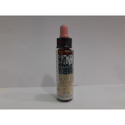 CHESTNUT BUD N7 PLANTIS ELIXIR FLORAL 10 ML BROTO DE CASTANHEIRO