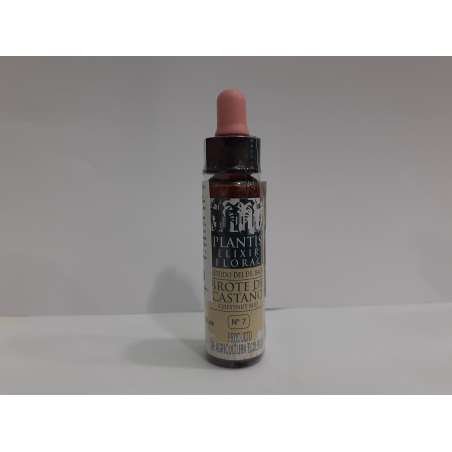 CHESTNUT BUD N7 PLANTIS ELIXIR FLORAL 10 ML BROTO DE CASTANHEIRO