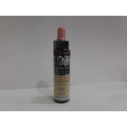 ROCK ROSE N 26 PLANTIS ELIXIR FLORAL 10 ML HELIANTEMO 