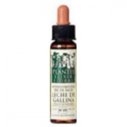 WILLOW N 38 PLANTIS ELIXIR FLORAL 10 ML SALGUEIRO