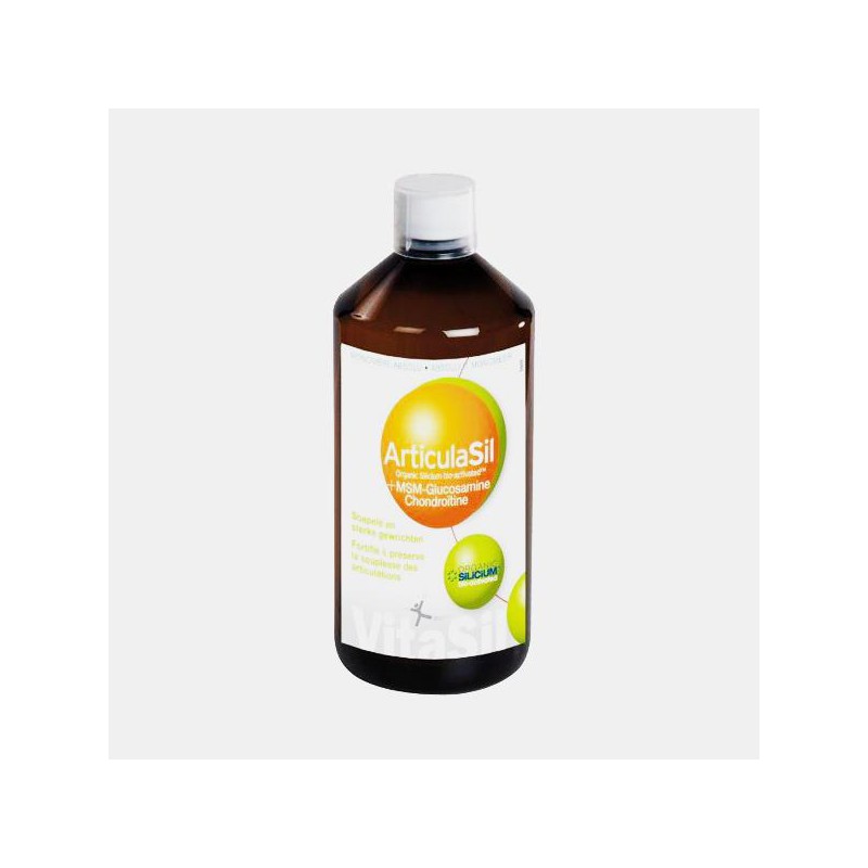 GLUCOSAMINA COM CONDROITINA MSN 500 ML ARTICULASIL VITASIL