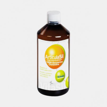 GLUCOSAMINA COM CONDROITINA MSN 500 ML ARTICULASIL VITASIL