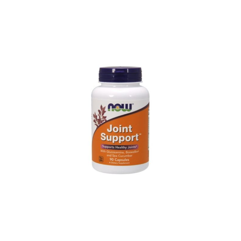 JOINT SUPPORT 90 CAPS NOW NASOFIS