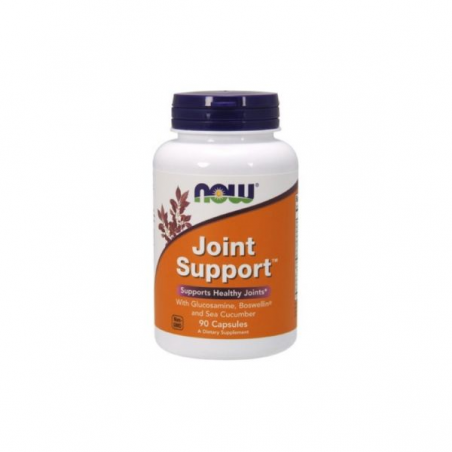 JOINT SUPPORT 90 CAPS NOW NASOFIS