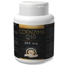 COENZYME Q10 250 MG 60 CAPS JAPA