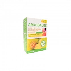 AMYGDALISE MEL E LIMAO 20 COMPRIMIDOS MASTIGAIS