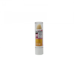 PROPOFIX PROTECT LIPS  BATOM 4 G