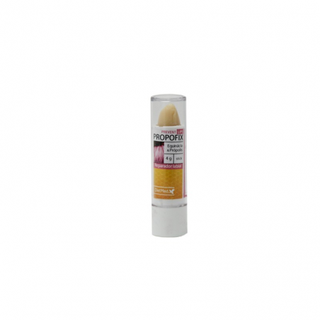 PROPOFIX PROTECT LIPS  BATOM 4 G
