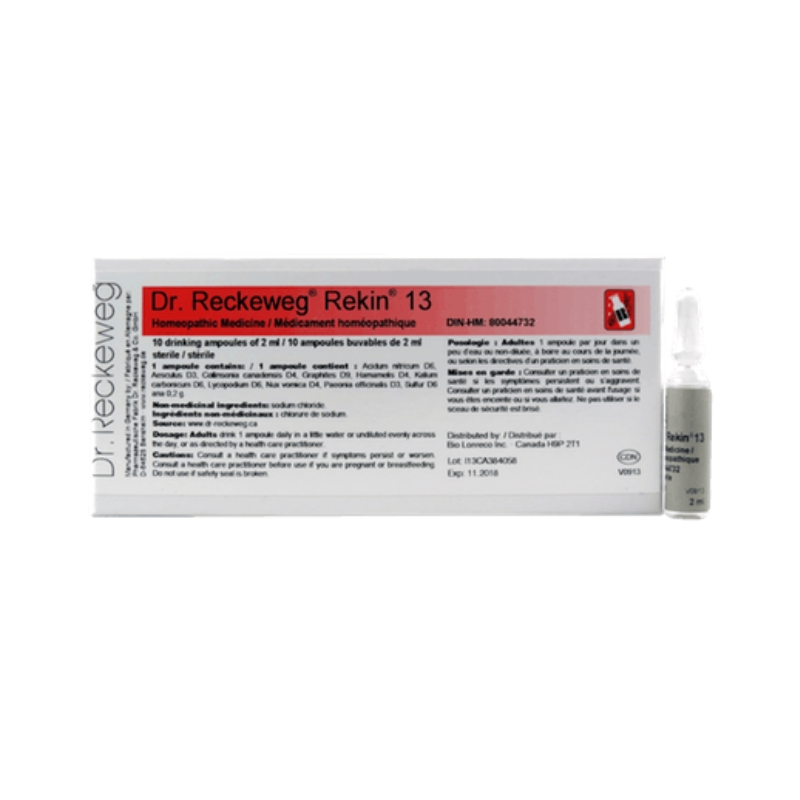 REKIN 13  10 AMPOLAS  DR. RECKEWEG